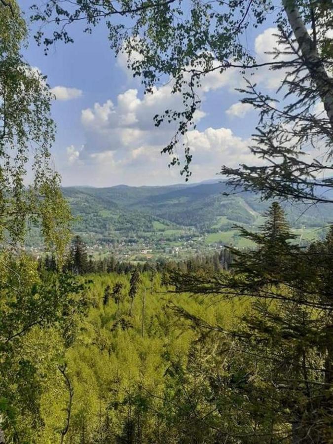 Spokojny Klimat W Wisle Appartement Wisła Buitenkant foto